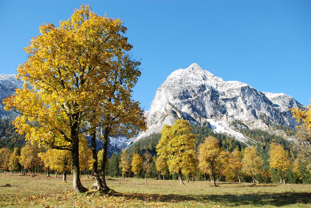 Engalm Herbst - wunderbar zum Wandern