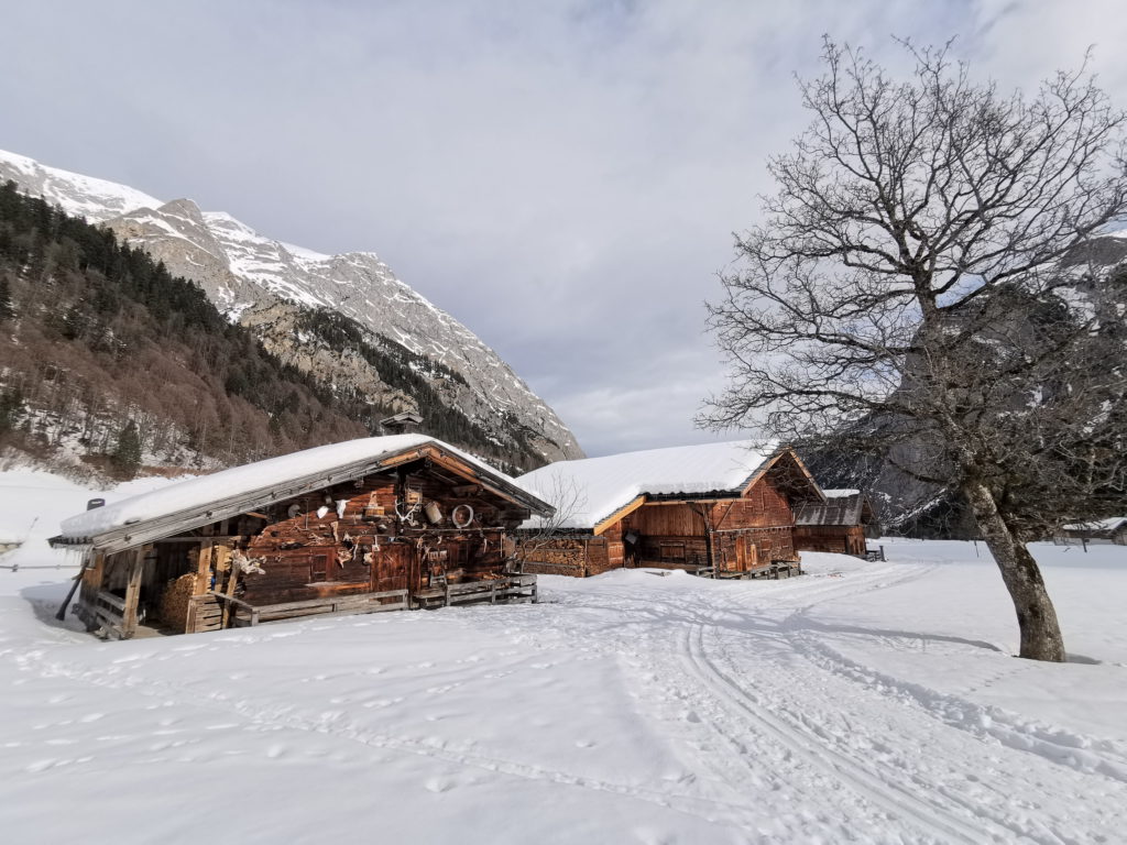 Engalm Winter - die Natur mit viel Stille erleben