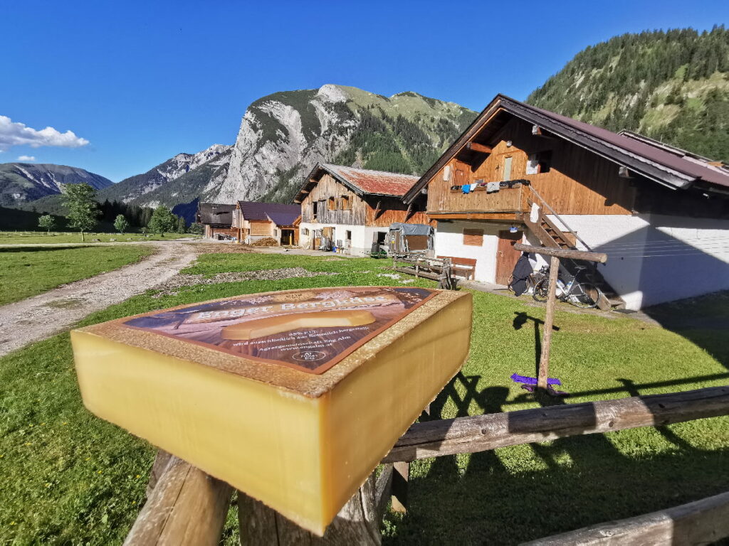 Der berühmte Käse der Eng Alm