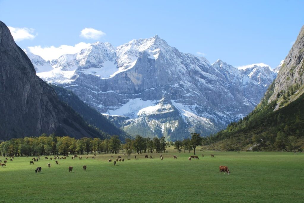 Großer Ahornboden - Dank den Bauern der Eng Alm gibt es diese gepflegte Naturlandschaft