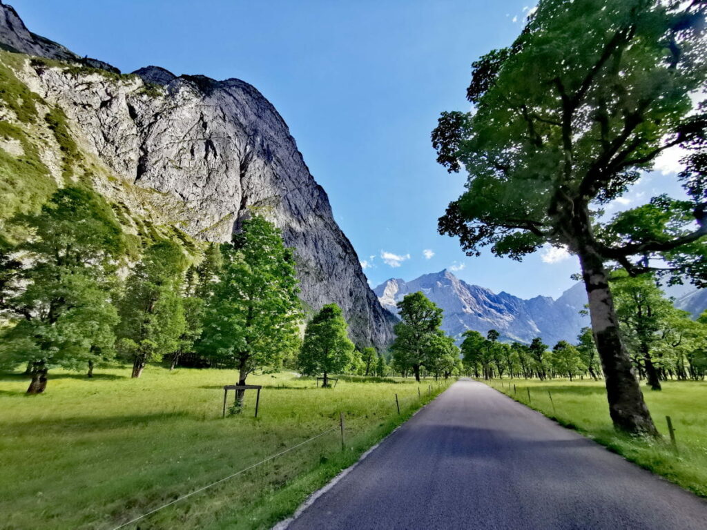 Eines der Erlebnisse von Hansjörg Reiter: Zwischen den Bäumen am Ahornboden fahren